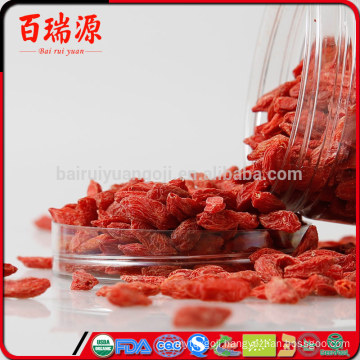 Pure natural goji berries health benefits where can i buy goji berries goji pianta